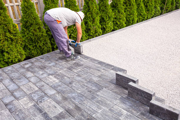 Best Local Driveway Pavers  in Edinburg, TX
